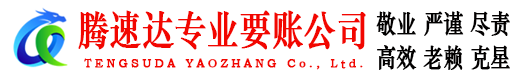 龙文收债公司